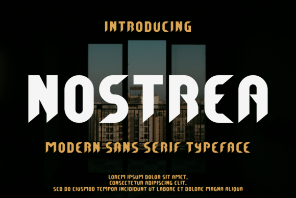 Nostrea Font: A Bold Sans Serif for Handmade Branding and Printables