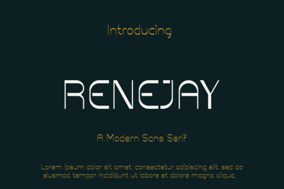 Renejay: A Bold Sans Serif Font for Impactful Web Design