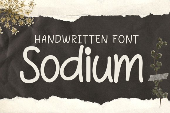 Sodium Font: Design Review and Free Download Guide