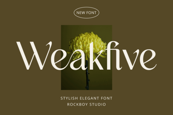 Weakfive: A Serif Font for Timeless Branding and Elegant Design Projects